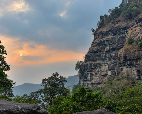 Xe Pian National Protected Area jungle